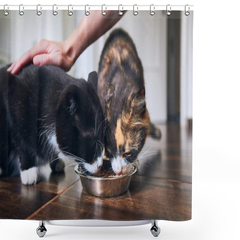 Personality  Domestic Life With Pet. Cute Cats Eating From Bowl Together. Shower Curtains