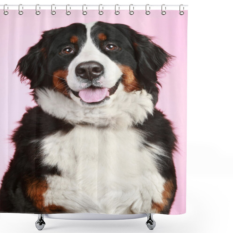 Personality  Bernese Mountain Dog Shower Curtains