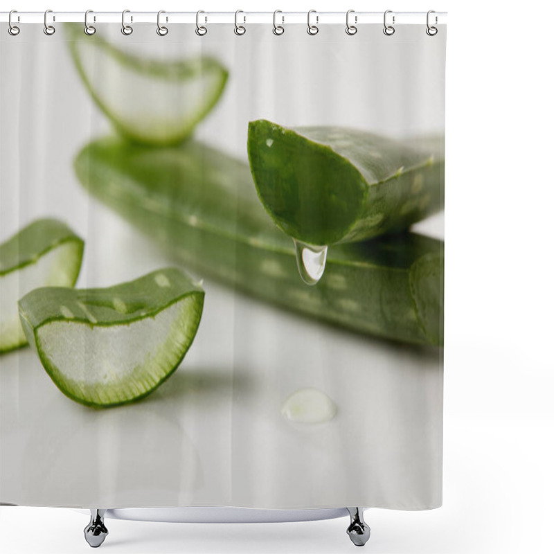 Personality  Closeup Shot Of Aloe Vera Juicy Leaves And Slices On White Surface  Shower Curtains