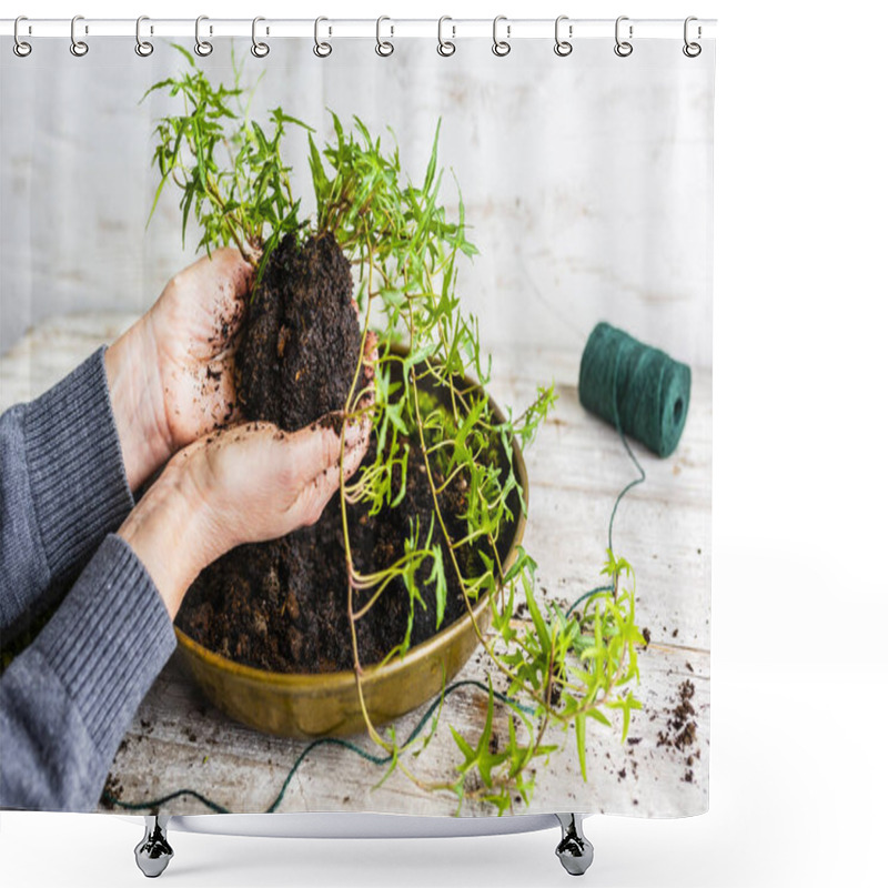 Personality  Making Kokedama With Moss And Ivy. Shower Curtains