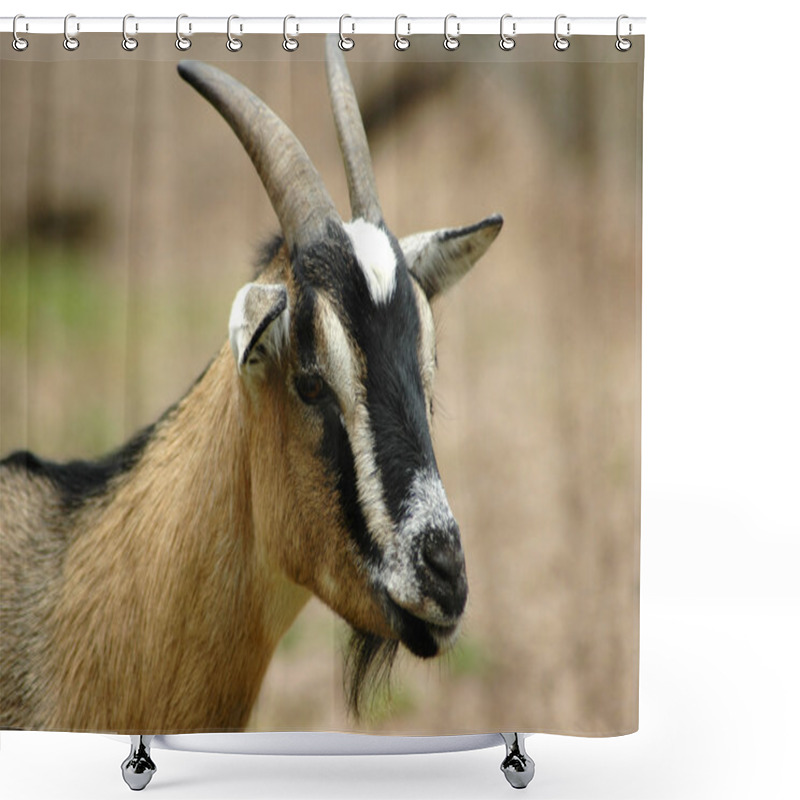 Personality  Goat Head Portrait Shower Curtains