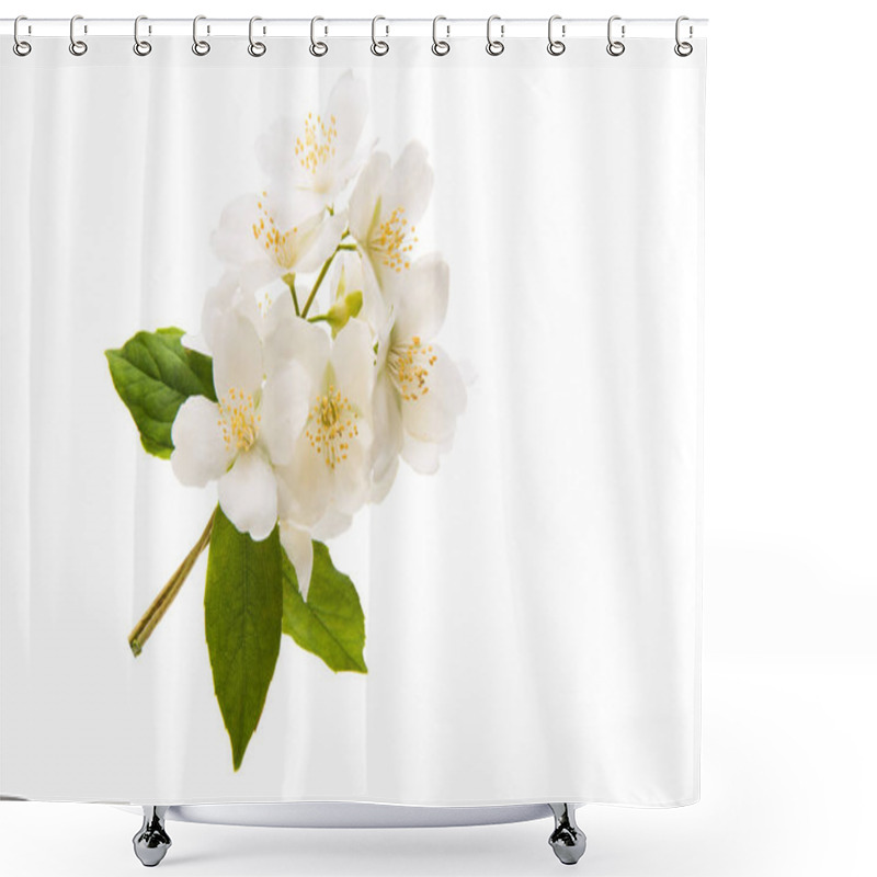 Personality  Jasmine Flower Isolated  Shower Curtains