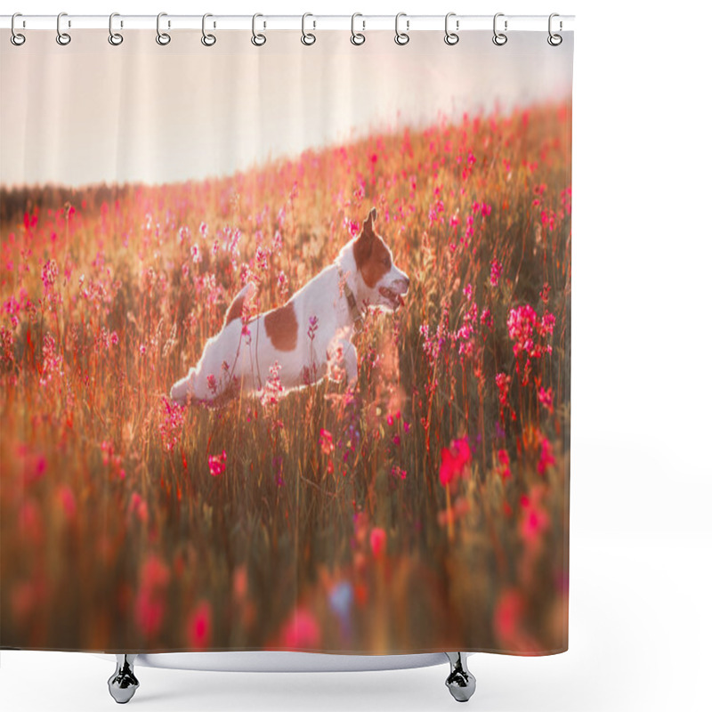 Personality  Dog In Flowers Jack Russell Terrier Shower Curtains