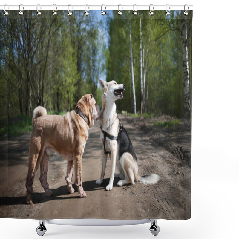 Personality  Dogs Walking On Country Road In Spring Forest Shower Curtains