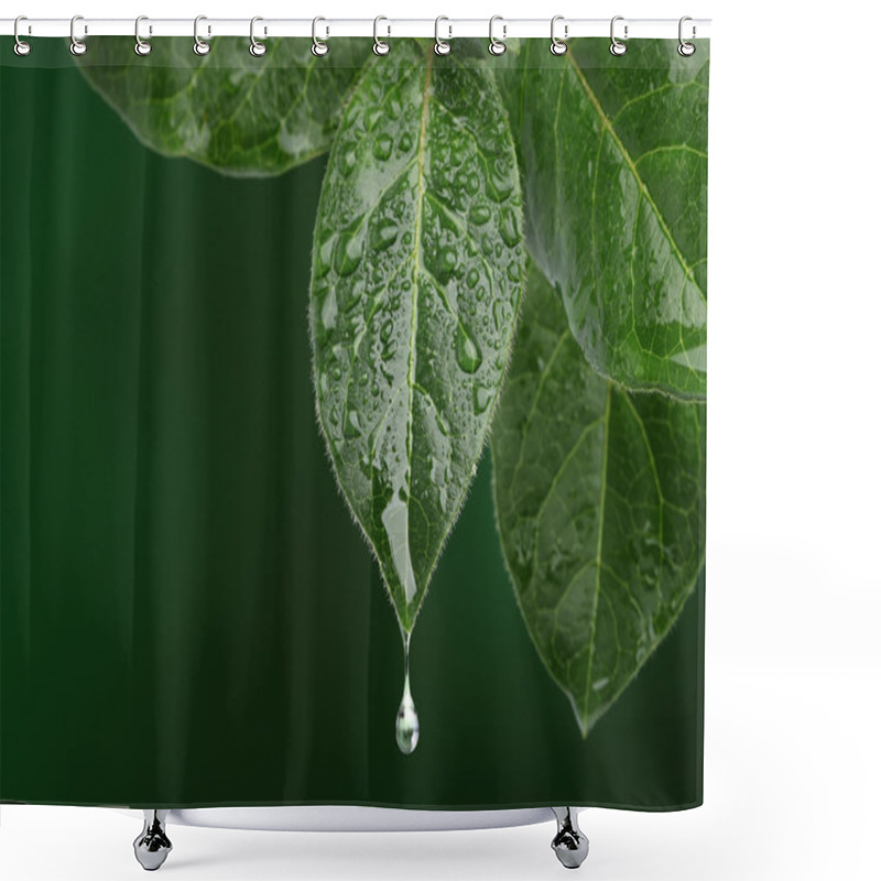 Personality  Fresh Leaf With Water Drop Falling. Natural Background Shower Curtains