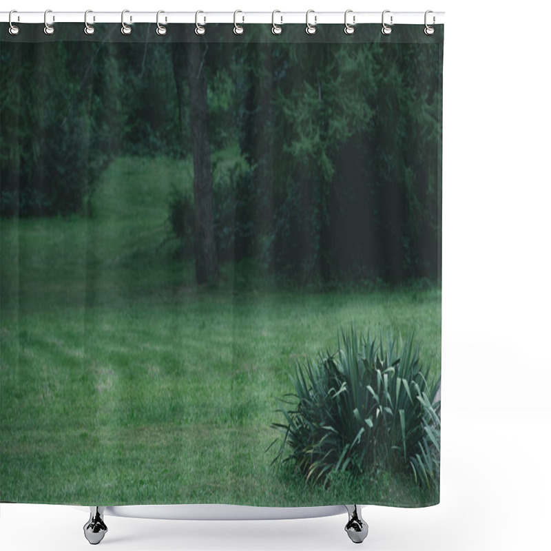 Personality  Green Grass Meadow In Botanical Graden Shower Curtains