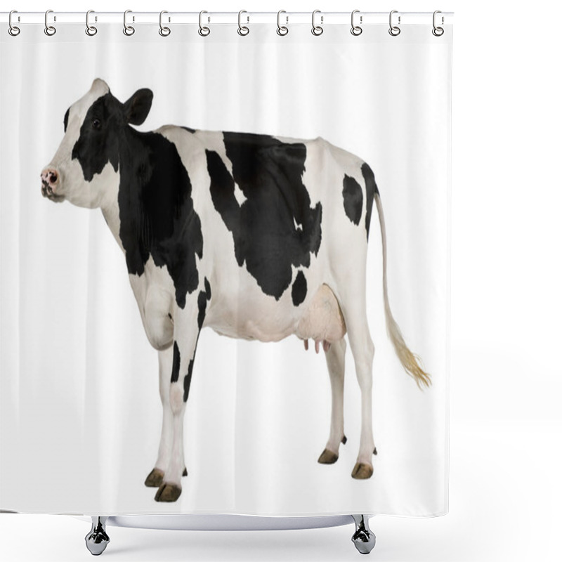 Personality  Holstein Cow, 5 Years Old, Standing Against White Background Shower Curtains