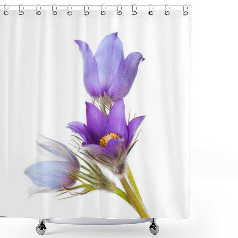 Personality  Spring Flowers Cutleaf Anemone Shower Curtains