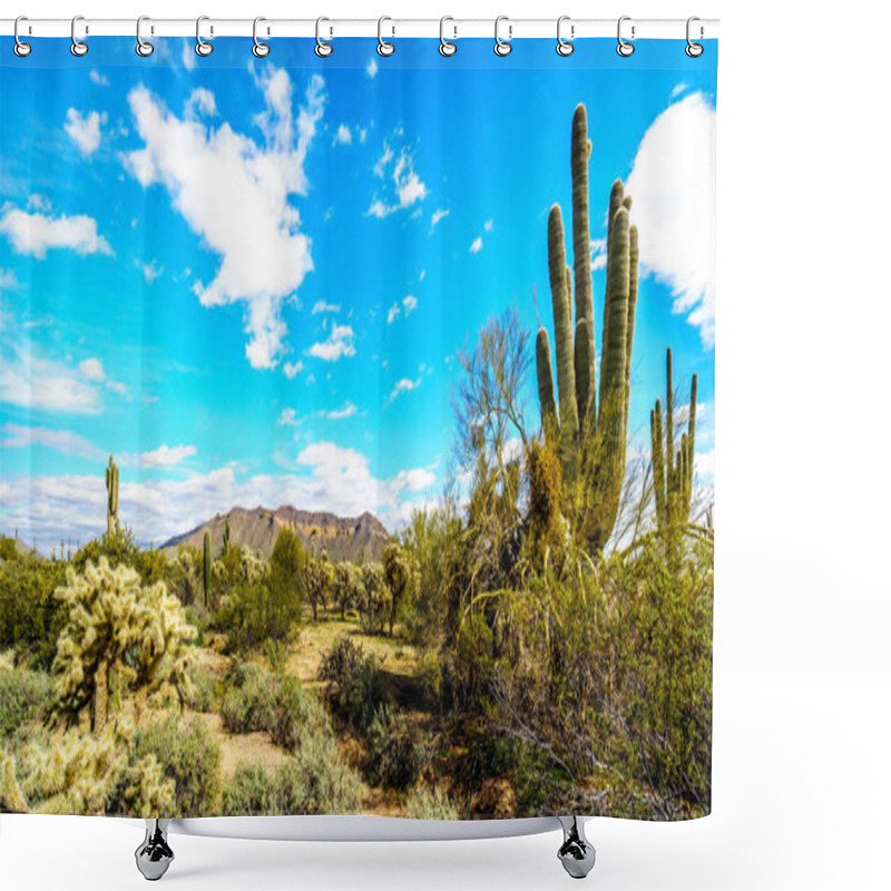 Personality  Saguaro, Cholla, Ocotillo And Barrel Cacti In The Semi-desert Landscape Of Usery Mountain Regional Park Shower Curtains