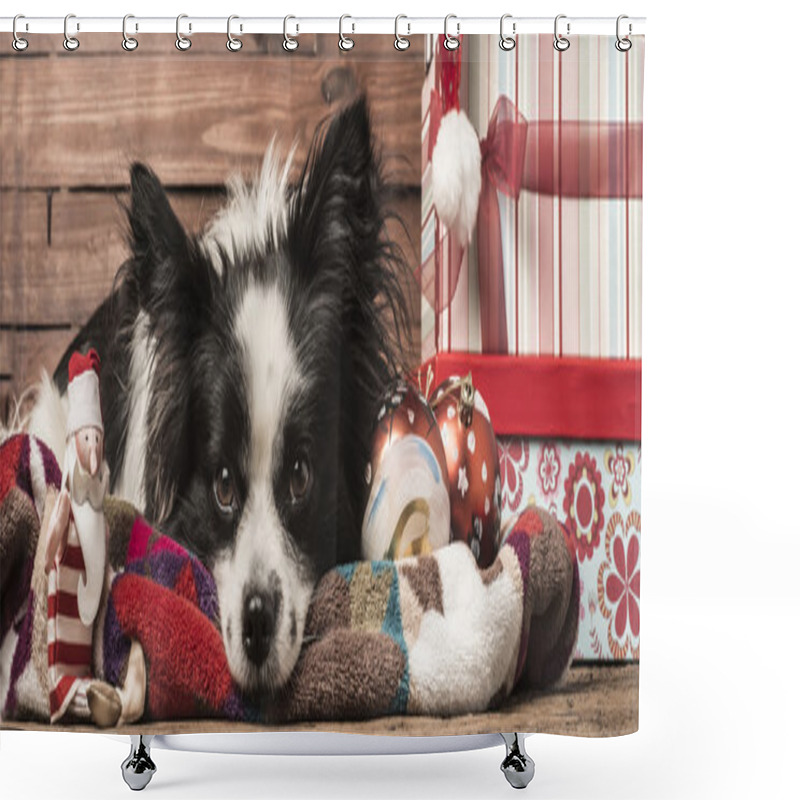 Personality  Dogs Christmas Greeting Templates Shower Curtains