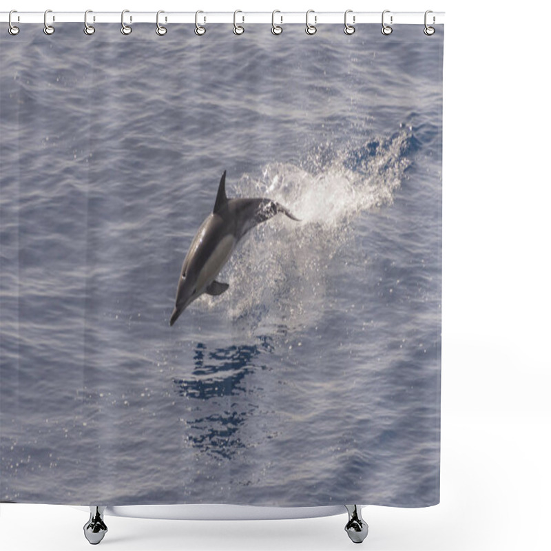 Personality  Dolphin Jumping Out Of Calm Sea Shower Curtains