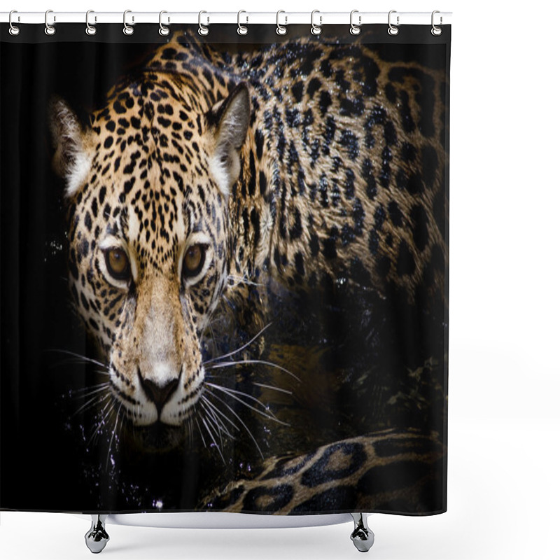 Personality  Jaguar Portrait Shower Curtains