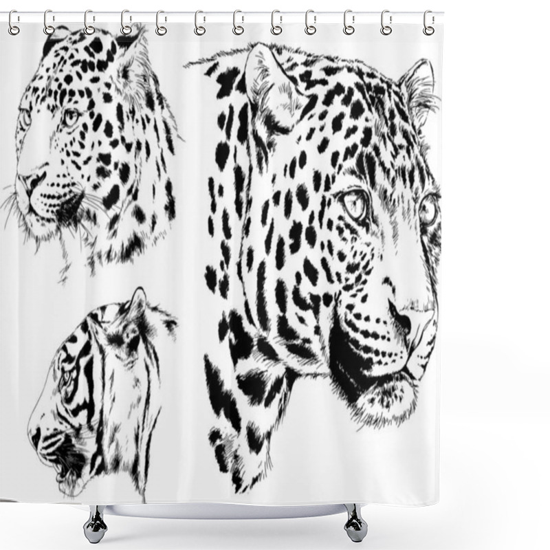 Personality  Set Of Vector Drawings On The Theme Of Predators Tigers Are Drawn By Hand With Ink Tattoo Logos Shower Curtains