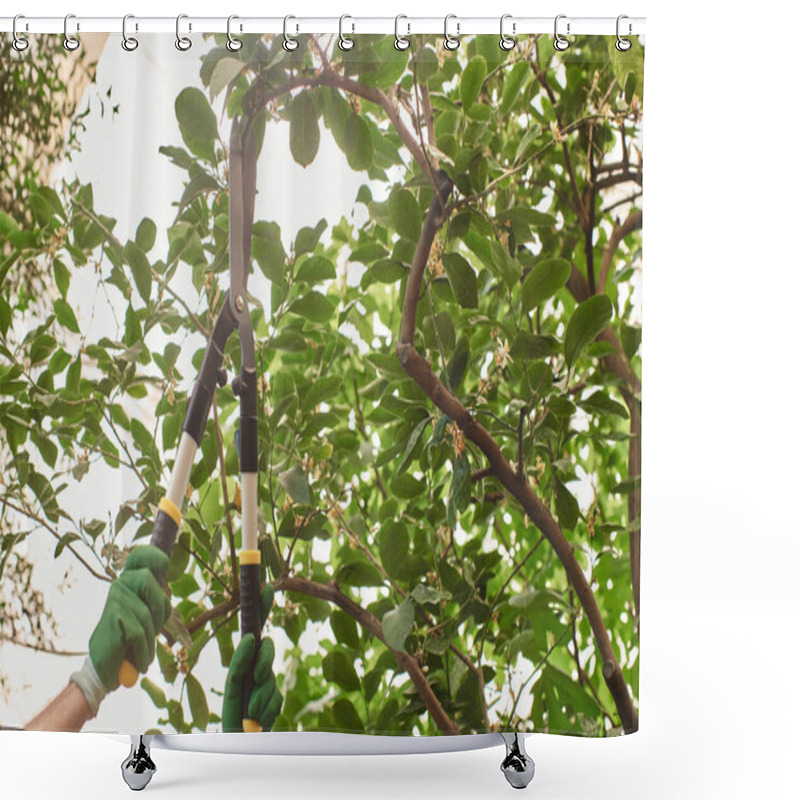 Personality  Cropped Shot Of Gardener In Gloves Cutting Branch On Tree With Big Gardening Scissors In Greenhouse Shower Curtains