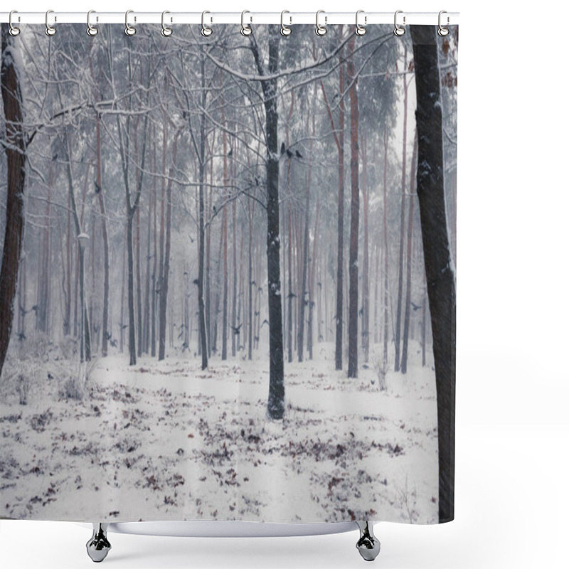 Personality  Ravens Sitting On A Snowy Tree In The Winter Forest. Shower Curtains