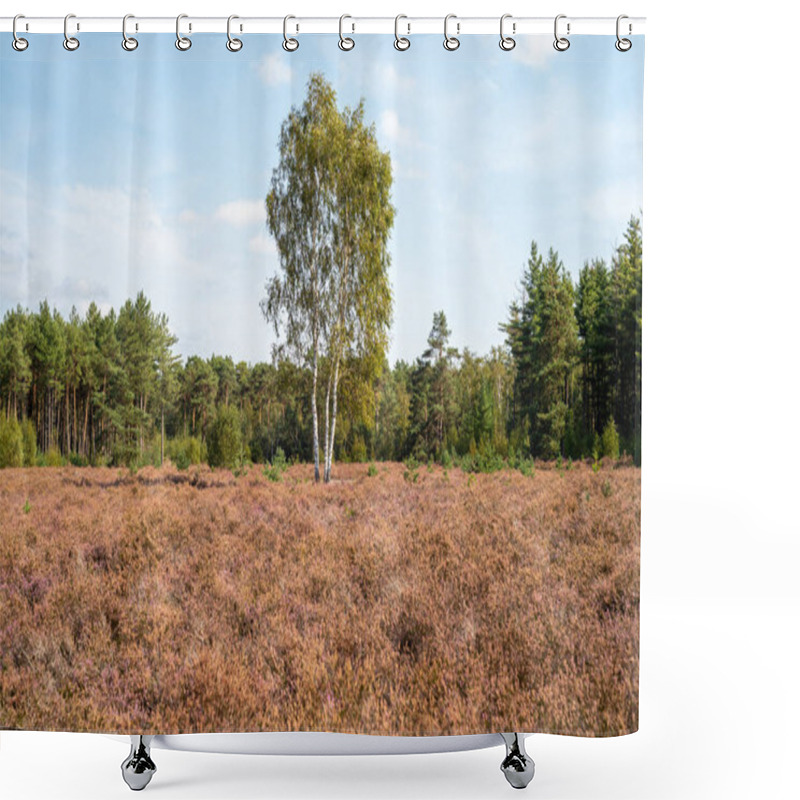 Personality  Nature Background, Green Lung Of North Brabant, Kempen Forest In September, The Netherlands Shower Curtains