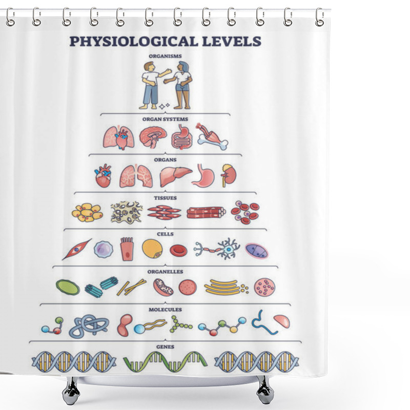 Personality  Physiological Levels And Detailed Life Structure Division Outline Diagram Shower Curtains