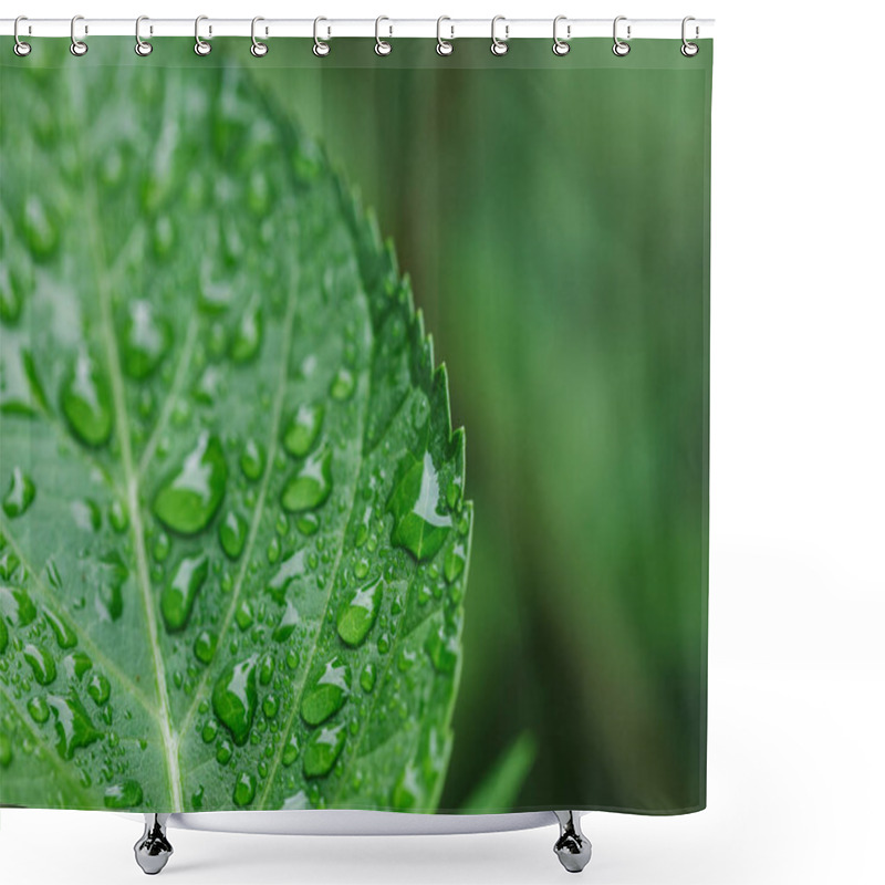 Personality  Close Up View Of Water Drops On Green Leaf  Shower Curtains