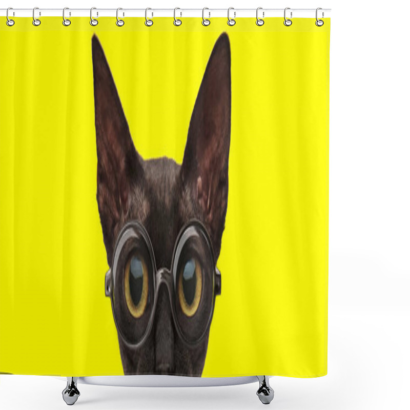 Personality  Adorable Kitten With Big Eyes Wearing Glasses On Yellow Background Shower Curtains