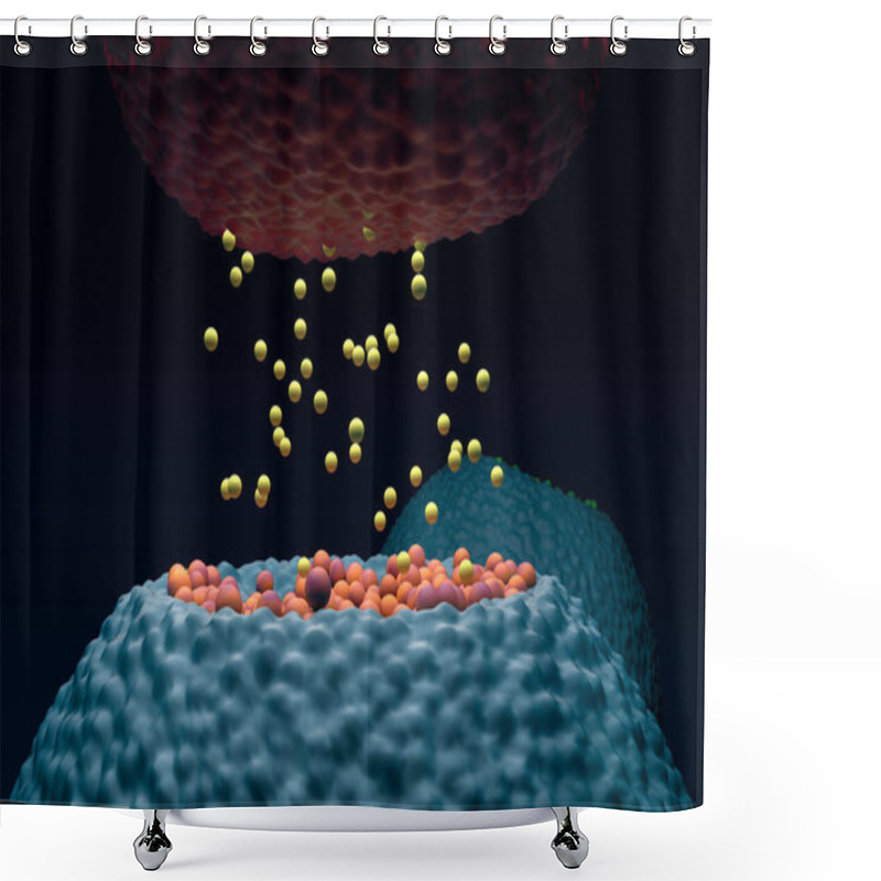 Personality  Postsynaptic Neuron Receptors (dendrite) Receive Emitted Neurotransmitters From Presynaptic Neuron (axon) - Closeup View 3d Illustration Shower Curtains