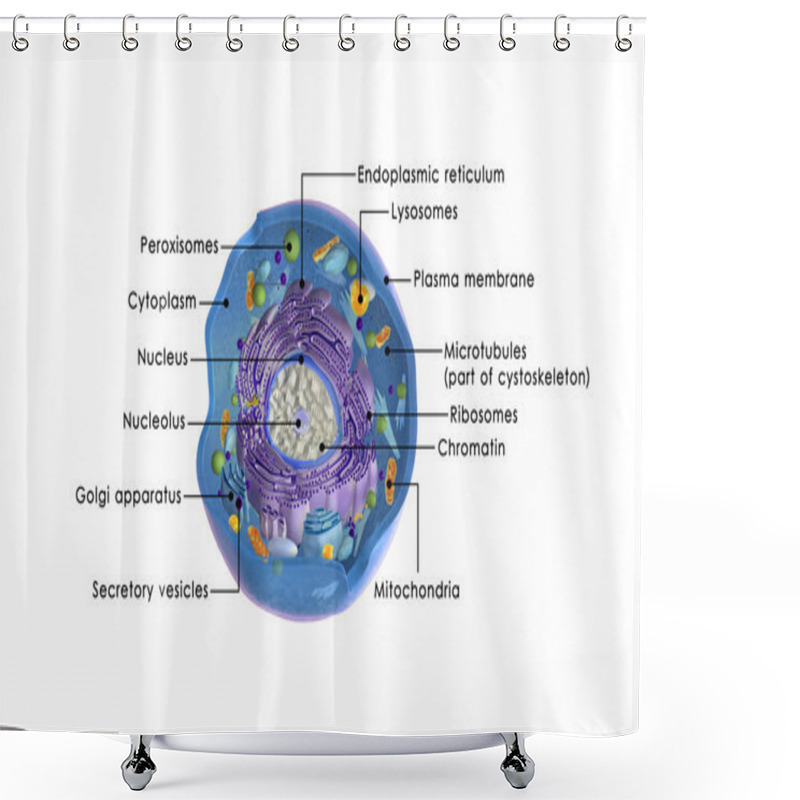 Personality  Animal Cell Structure Shower Curtains