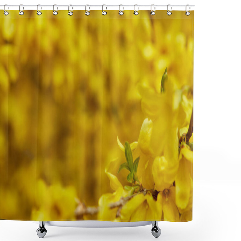 Personality  Close Up Of Yellow Blossoming Flowers With Petals On Tree Branches Shower Curtains