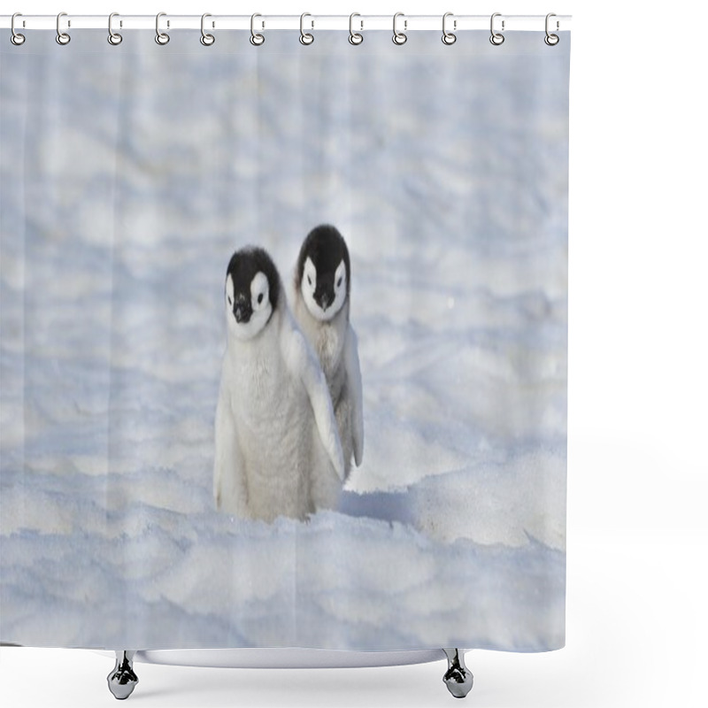 Personality  Emperor Penguin Shower Curtains