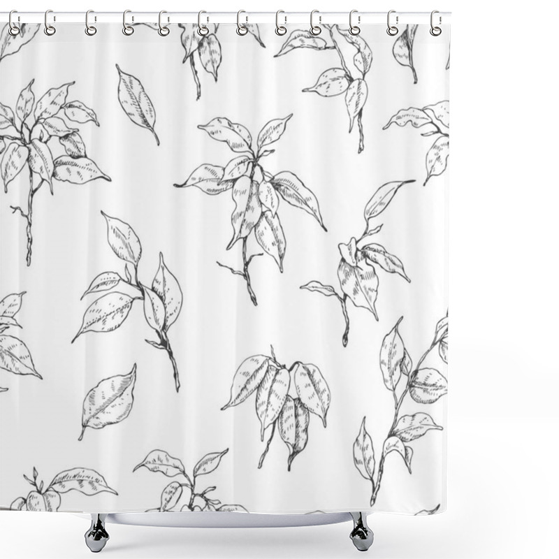 Personality  Hand Drawn Ficus Branch Pattern Shower Curtains