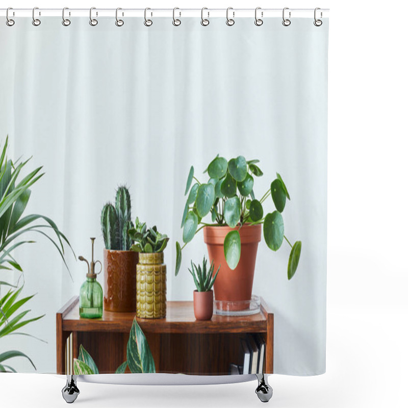 Personality  Stylish Composition Of Home Garden Interior Filled A Lot Of Beautiful Plants, Cacti, Succulents, Air Plant In Different Design Pots. White Wall. Copy Space. Home Gardening Concept Home Jungle. Shower Curtains