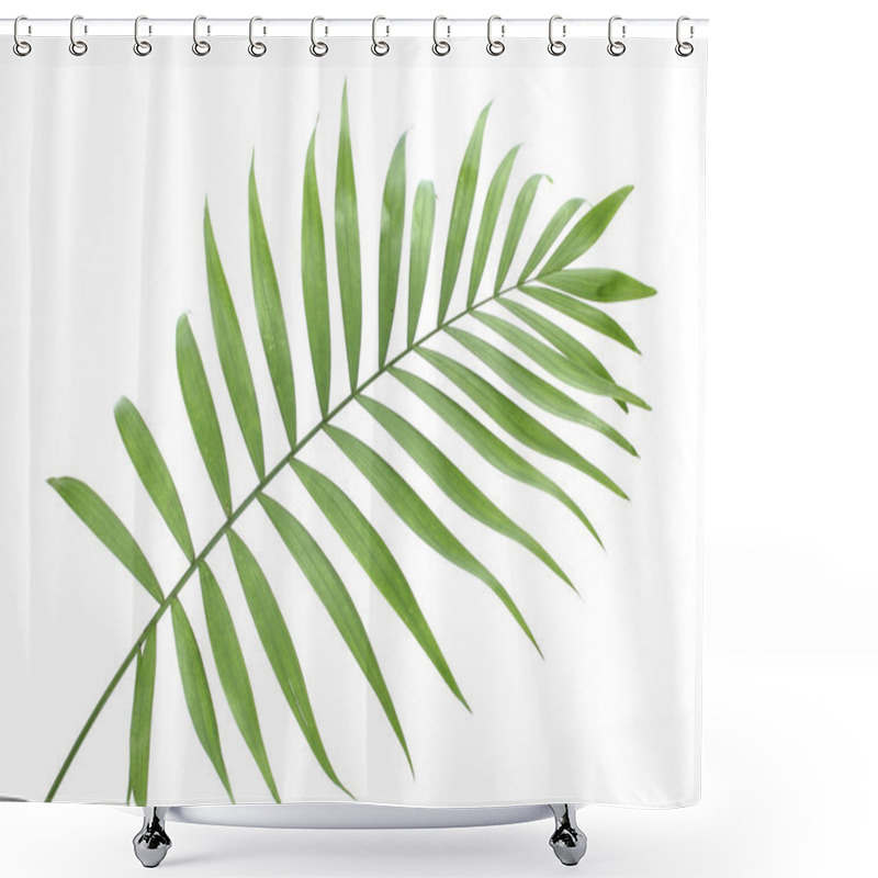 Personality  Beautiful Green Palm Leaf Isolated On White Shower Curtains