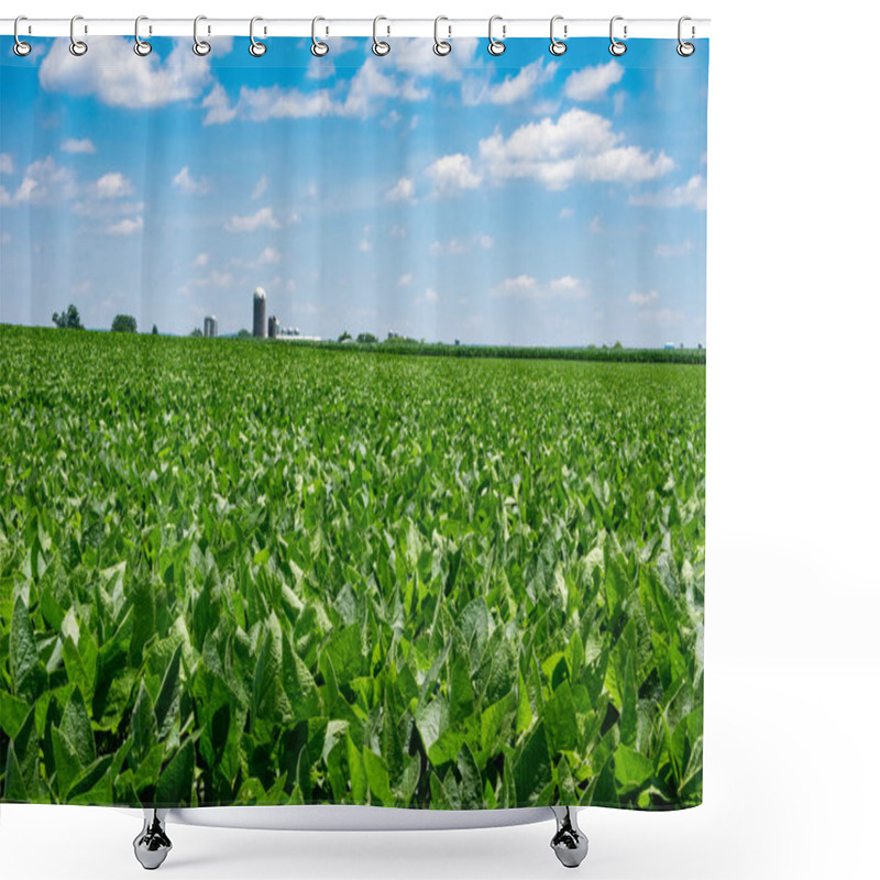 Personality  Lush Green Soybean Field Shower Curtains