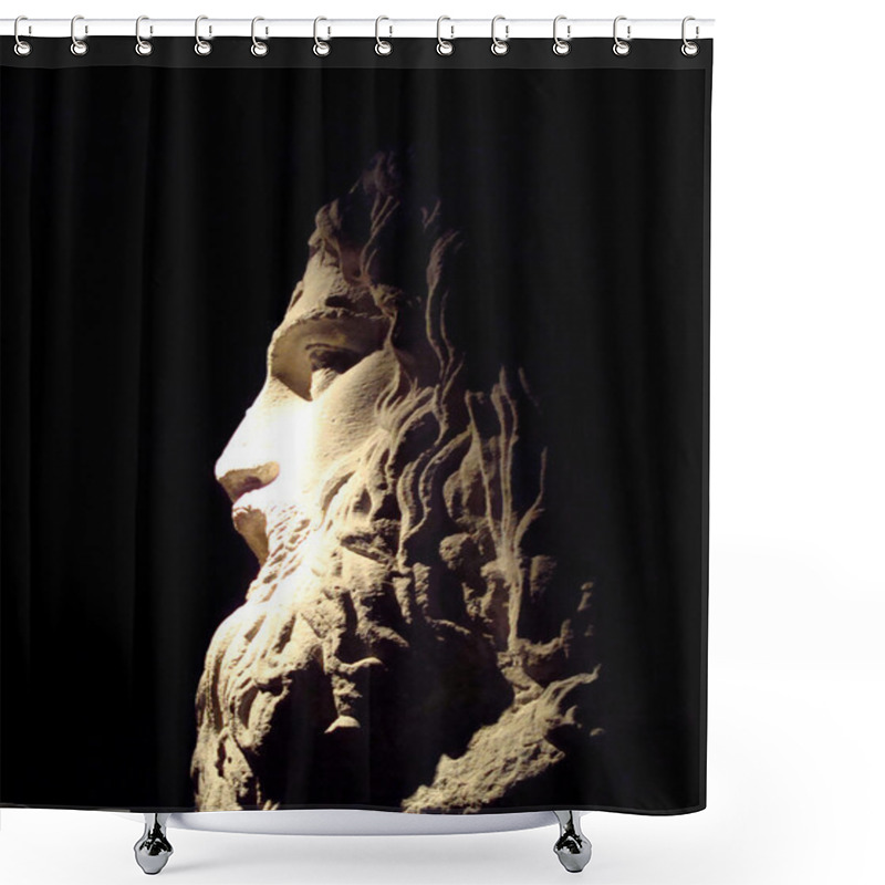 Personality  The Statue Of Zeus Shower Curtains