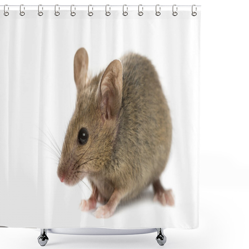 Personality  Wood Mouse In Front Of A White Background Shower Curtains