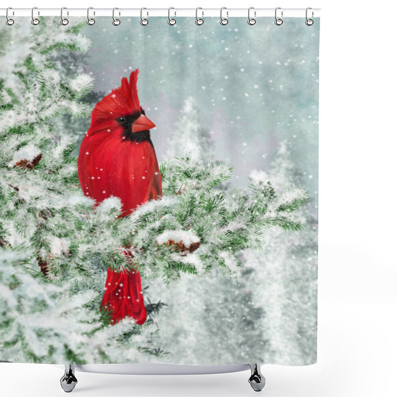 Personality  Winter Christmas Background, Red Cardinal Bird Sits On Snowy Branches Of Spruce, Evening, Blizzard, Snow Flies. Shower Curtains