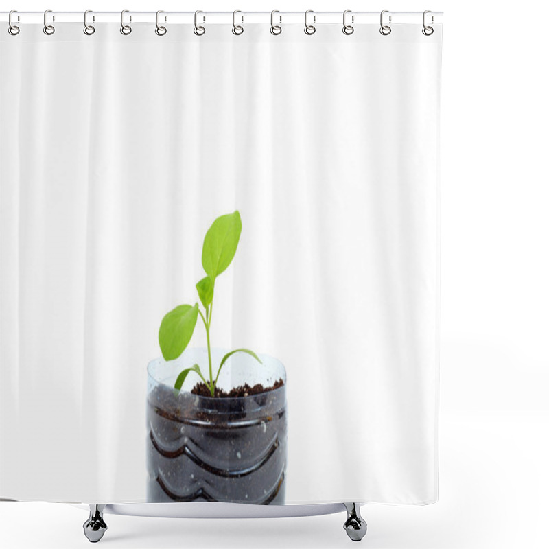 Personality  Aubergine Spring Sprouts Shower Curtains