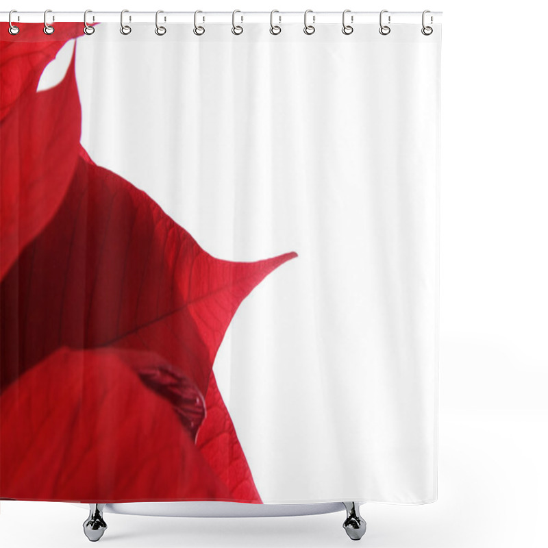 Personality  Poinsettia Shower Curtains