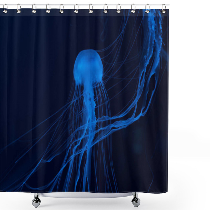 Personality  Jellyfishes In Blue Neon Light On Dark Background Shower Curtains