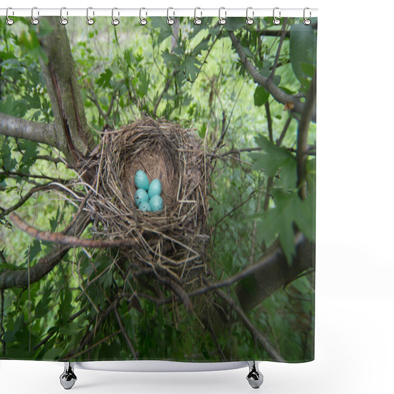 Personality  Bird's Nest. Shower Curtains