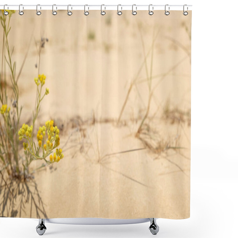 Personality  Beautiful Yellow Flower Growing In Sandy Desert On Sunny Day. Space For Text Shower Curtains