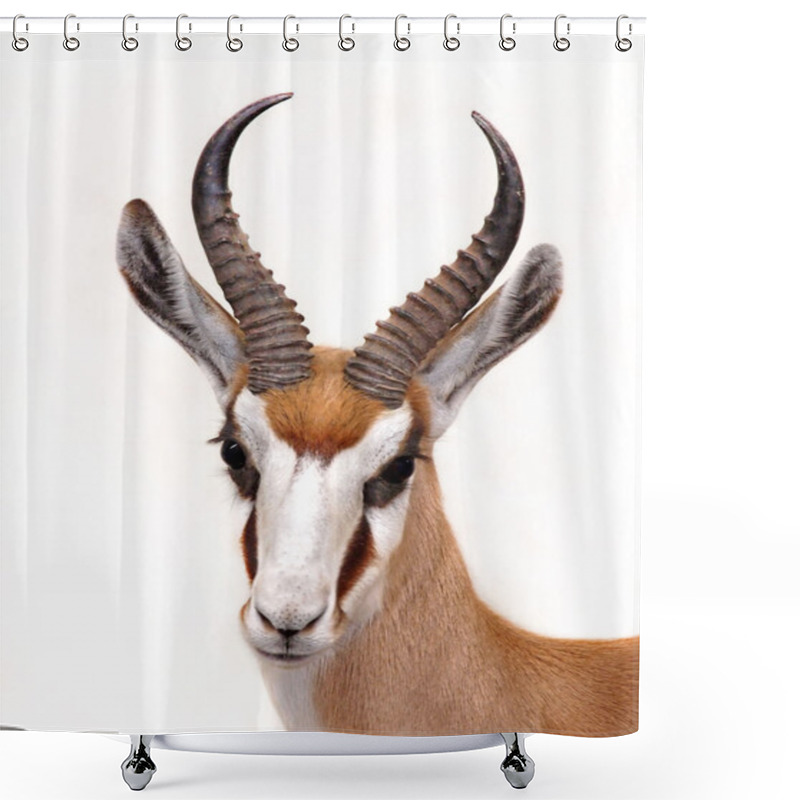 Personality  Springbok Isolated On White Shower Curtains