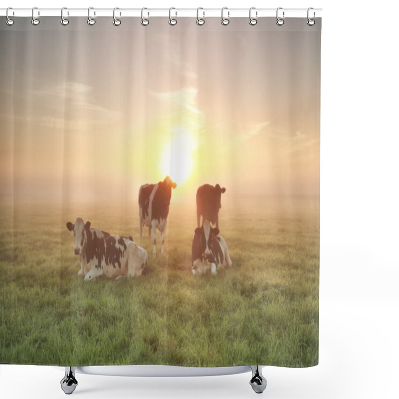 Personality  Few Cows Relaxed On Pasture Shower Curtains