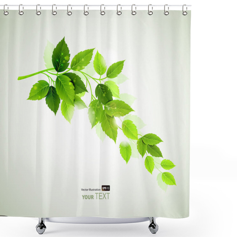 Personality  Spring Branch With Fresh Green Leaves Shower Curtains