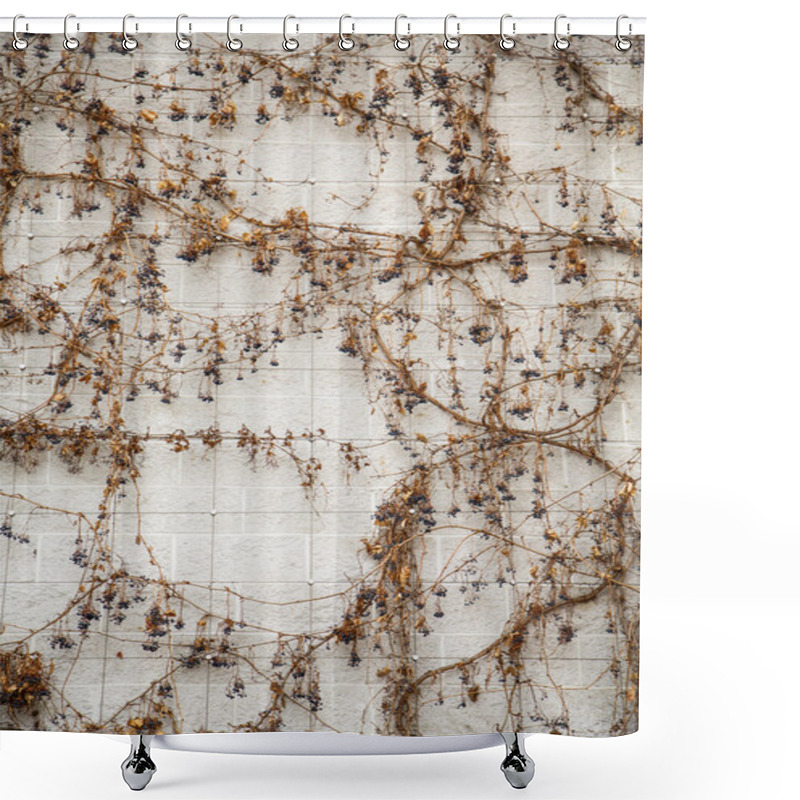 Personality  Winter Vines On White Block Wall Shower Curtains