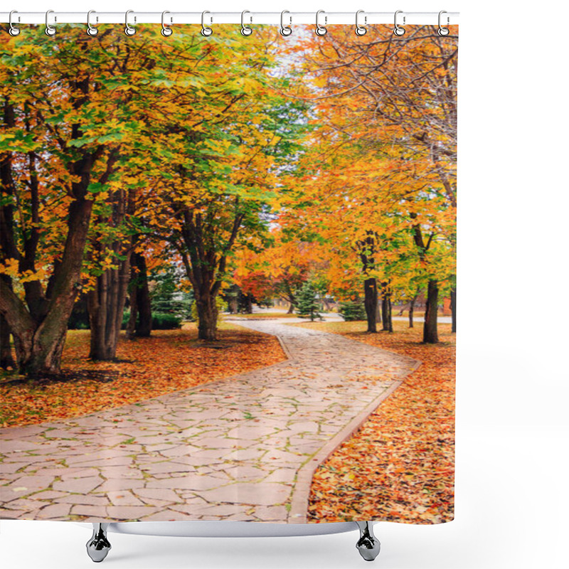 Personality  Footpath In Scene Autumn Park, Nature Shower Curtains