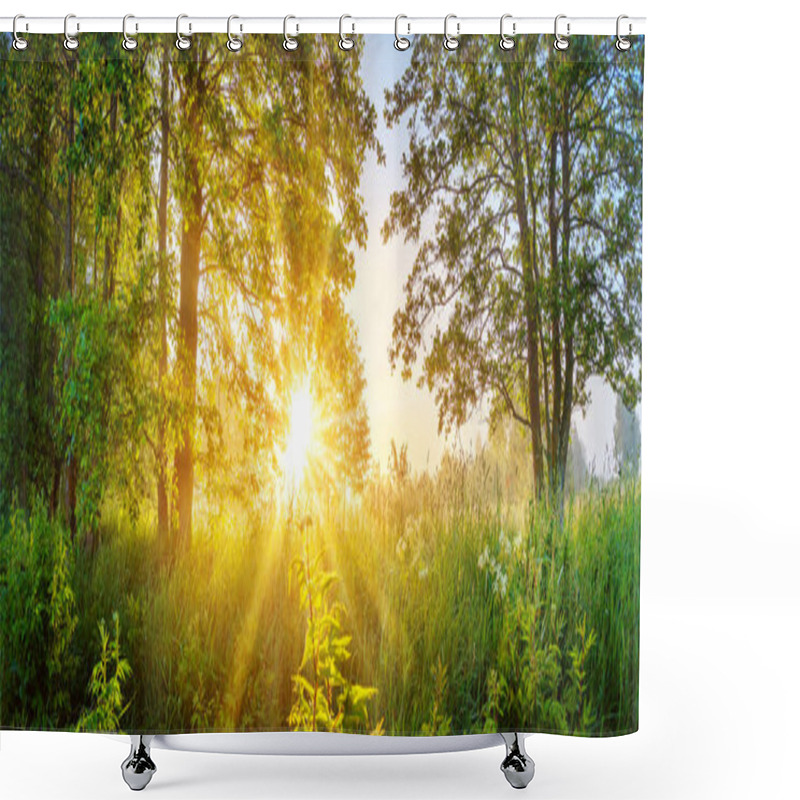 Personality  Foggy Background In Natural Park In The Morning. Tranquil Scene In Woodland. Shower Curtains