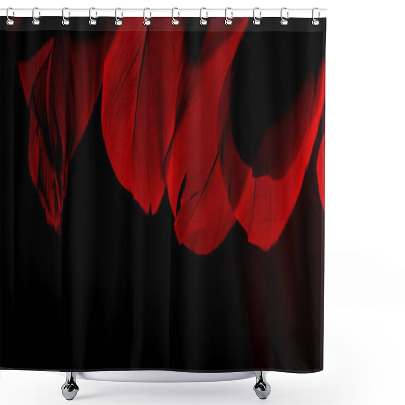 Personality  Red Wings With Red Bird Feathers On A Black Background Shower Curtains