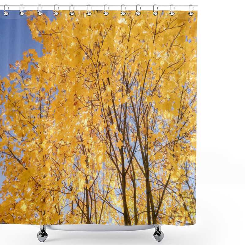 Personality  Flowers And Trees In Autumn Nature. Shower Curtains