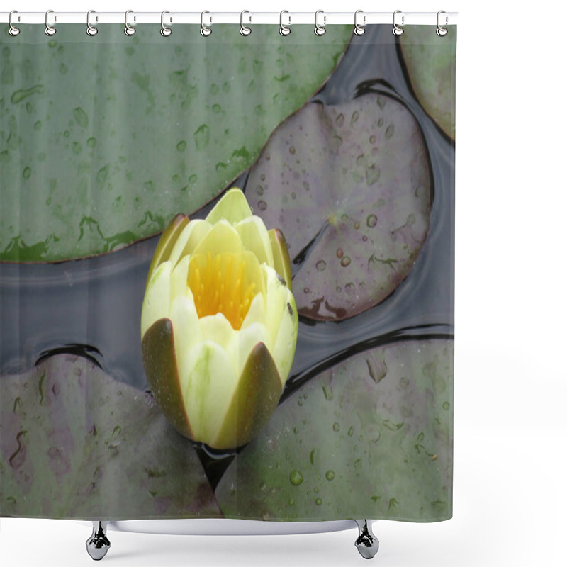 Personality  Yellow Water Lily - Nymphaea Shower Curtains