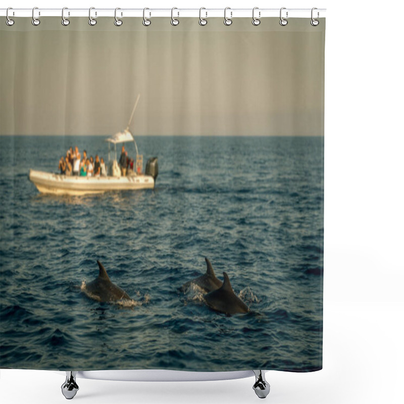 Personality  Dolphin Watching Boat Excursion With Dolphins In The Foreground Shower Curtains