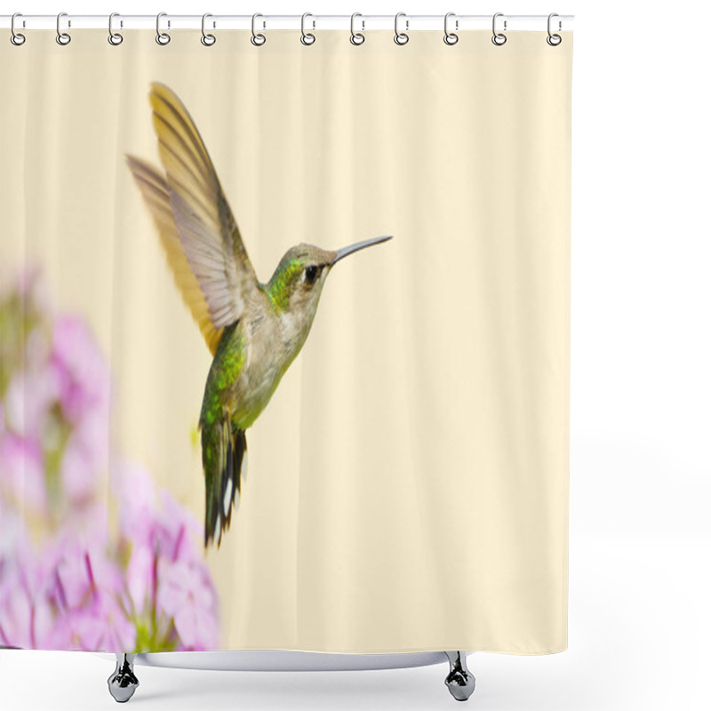 Personality  Hummingbird In Motion. Shower Curtains